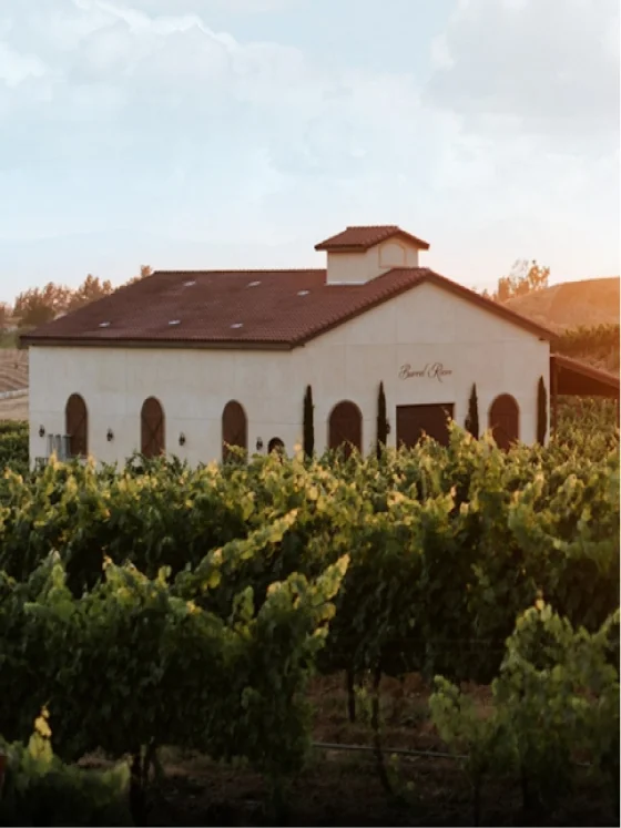 Vineyard and winery estate surrounded by rolling grapevines at a Kentina Hospitality destination in Temecula Valley