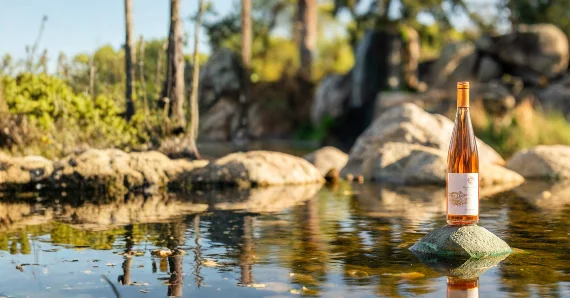 Bottle of rosé wine beside a tranquil pond at a Kentina Hospitality wine country destination in Temecula Valley