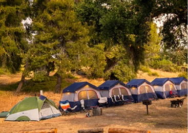 Camping tents and outdoor recreation setup surrounded by trees in Temecula Valley, offering a family-friendly nature getaway experience