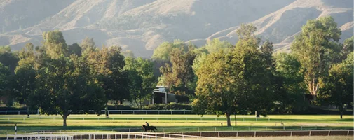 Participants crossing the finish line during a charity golf tournament in Temecula Valley while spectators cheer from the sidelines.