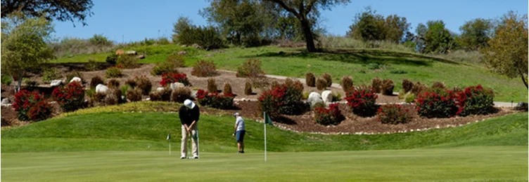 Golfers practicing on a manicured putting green at a championship golf course in Temecula Valley surrounded by scenic landscaping and rolling hills