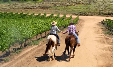 Couple horseback riding along a scenic vineyard trail through Temecula Wine Country surrounded by rolling hills and vineyard views