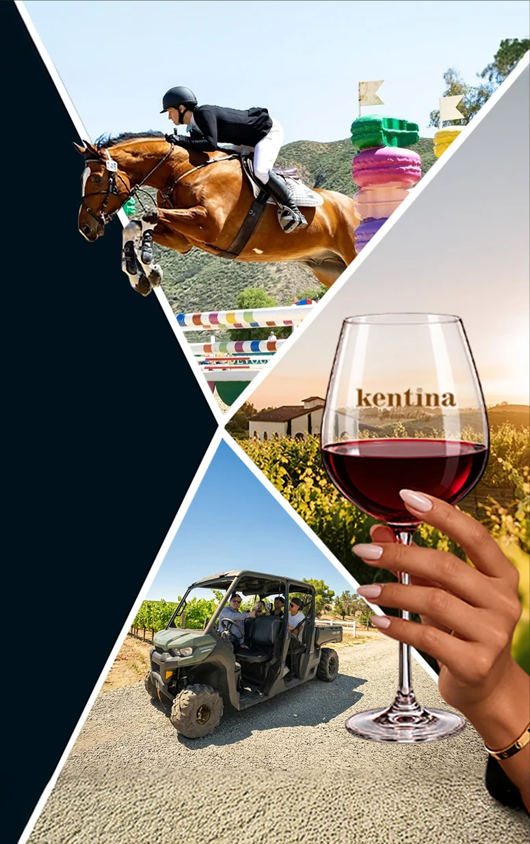Temecula vineyard collage featuring show jumping, wine tasting, and an off-road tour through wine country.